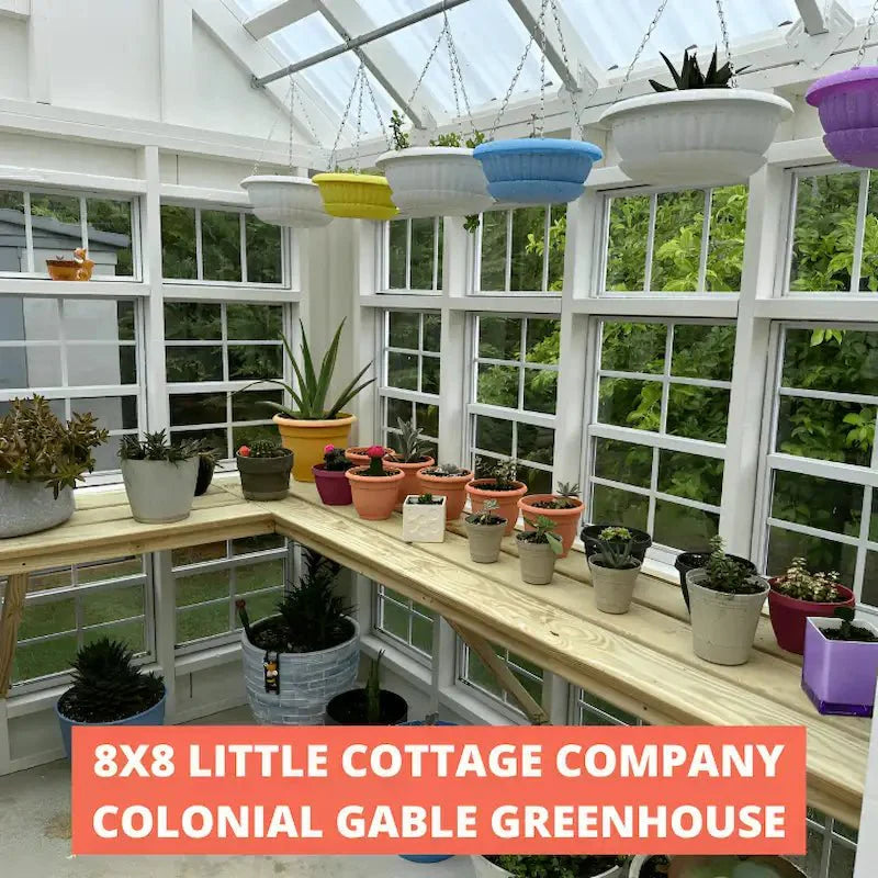 Little Cottage Co. Colonial Gable Greenhouse